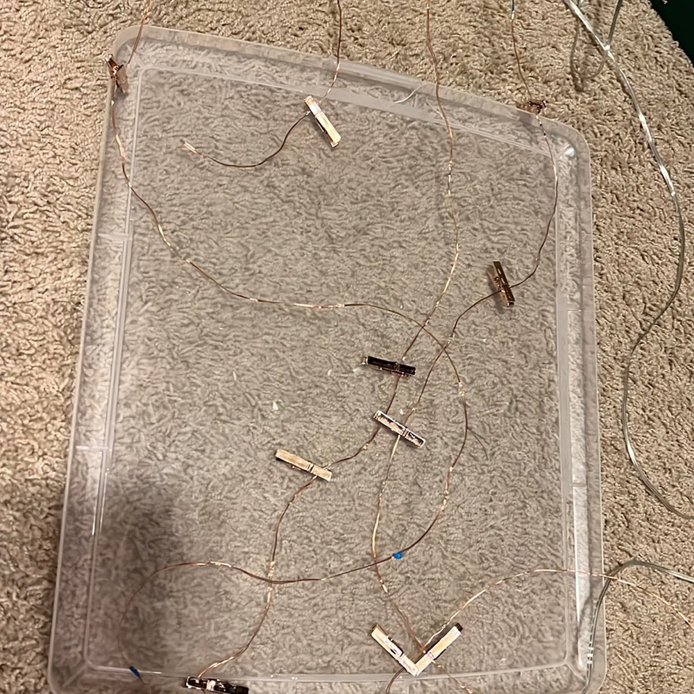 Rose gold fairy lights with clips.Holds Polaroids Message me for more details